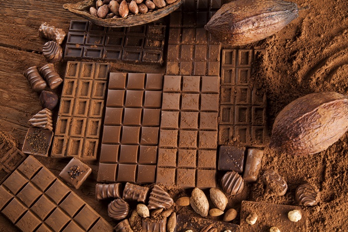 Chocolate bars, cocoa pods, and nuts on cocoa powder
