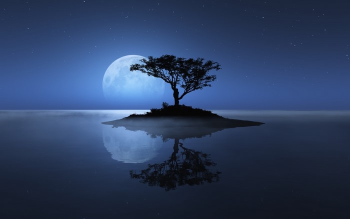 Lonely tree on an island under the moon