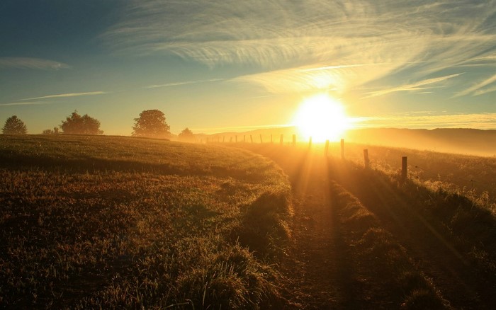 Sunrise over a misty field with a dirt path