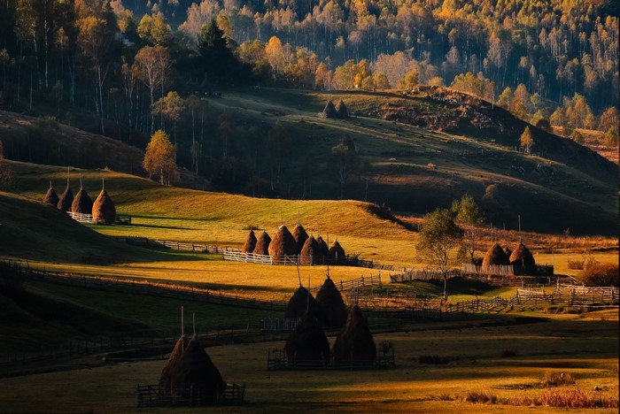Autumn landscape with haystacks and forest in Romania