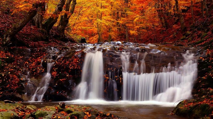 Waterfall in a forest during autumn