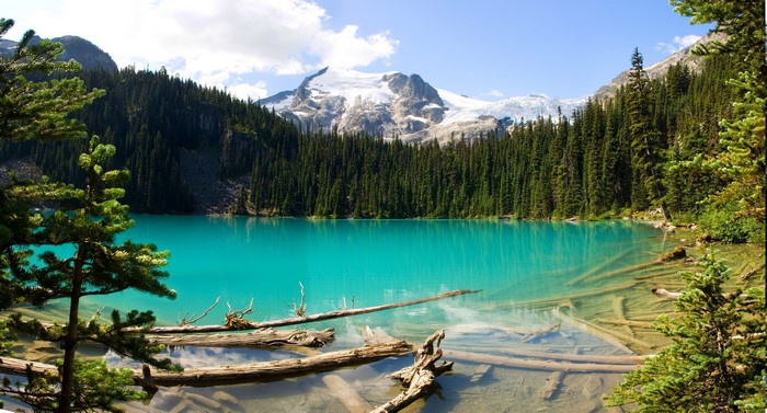 Turquoise lake with snowy mountain and forest in British Columbia