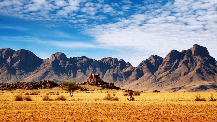 Namibian desert landscape with mountains and acacia trees