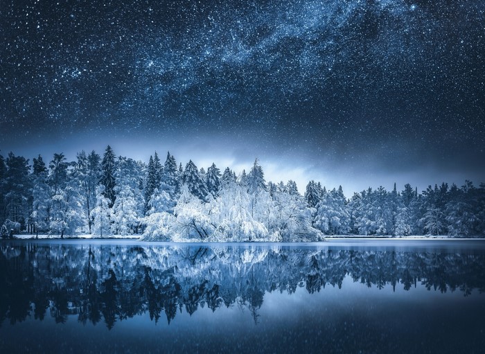 Snowy Finnish Forest Under Starry Milky Way Night Sky