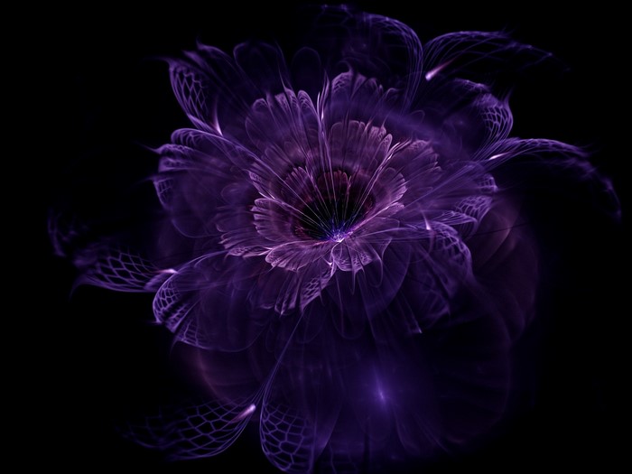 Abstract Black Fractal Flowers Art