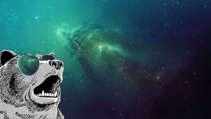 Bear wearing sunglasses in outer space