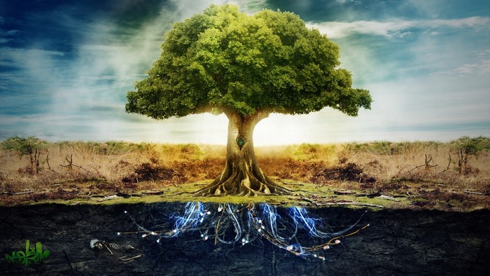 Tree with glowing roots and skeleton in soil