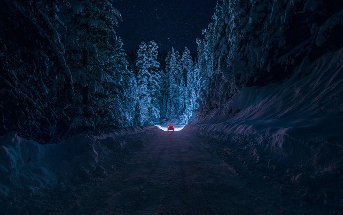 Car driving on a snowy forest road at night