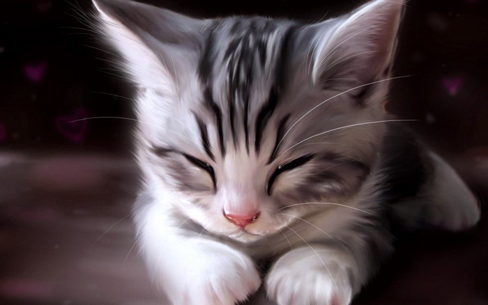 Sleeping Cute Gray and White Kitten