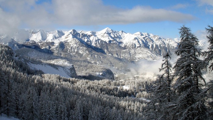 Snow-covered mountains and pine forest landscape in winter
