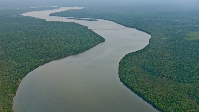 Aerial view of a wide river flowing through a dense tropical forest