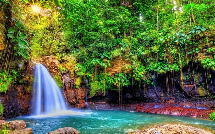 Tropical Waterfall with Sun Rays in Guadeloupe Forest