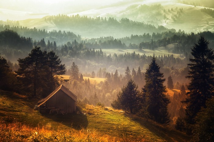 Misty mountain forest landscape with a wooden cabin