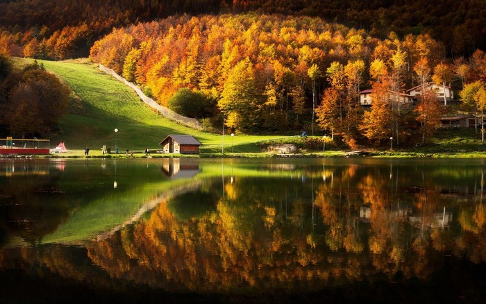 Autumn Forest Reflected in Calm Lake by Cabin