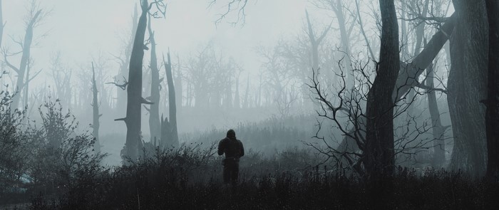 Man in a foggy forest from Fallout 4