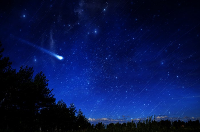 Comet streaking across a starry night sky over trees