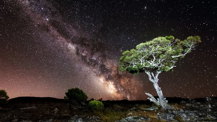 Milky Way over a tree and rocky hill