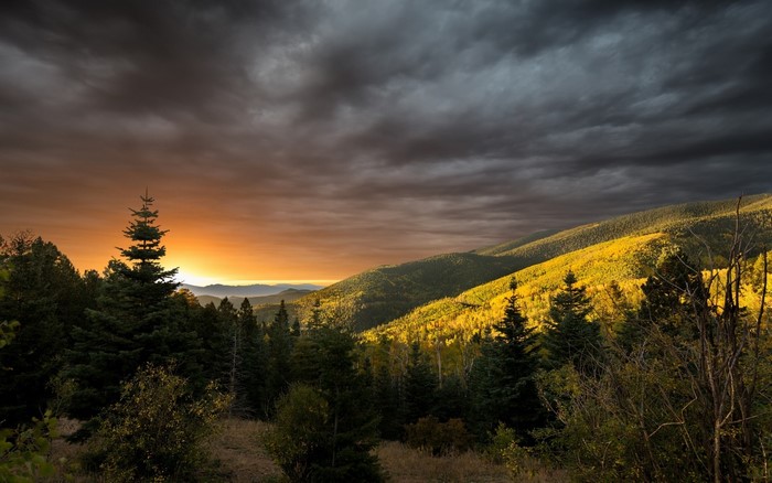 Mountain forest landscape at sunset with dramatic clouds