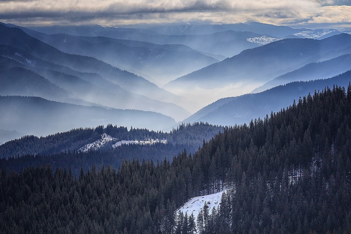 Mountain range with morning mist and pine forest