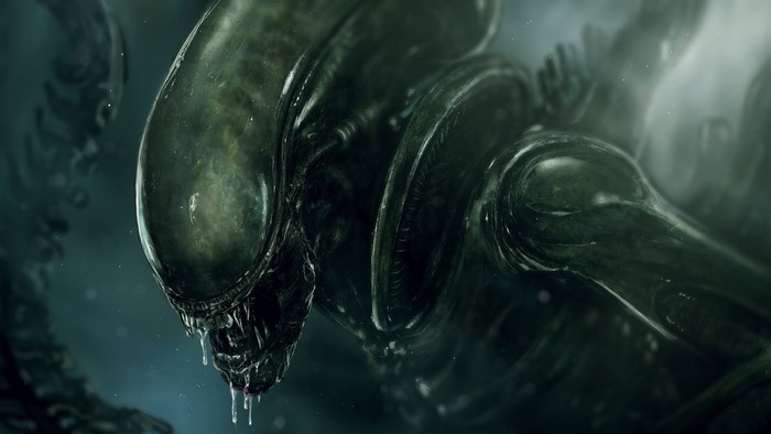 Xenomorph from Alien movie
