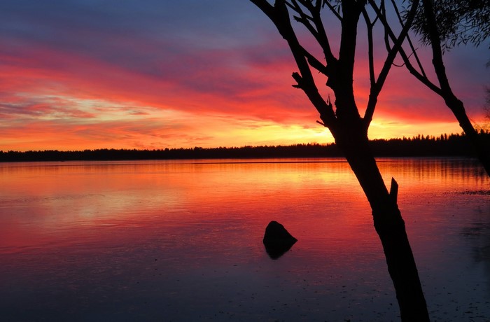 Sunset over a lake with trees in silhouette