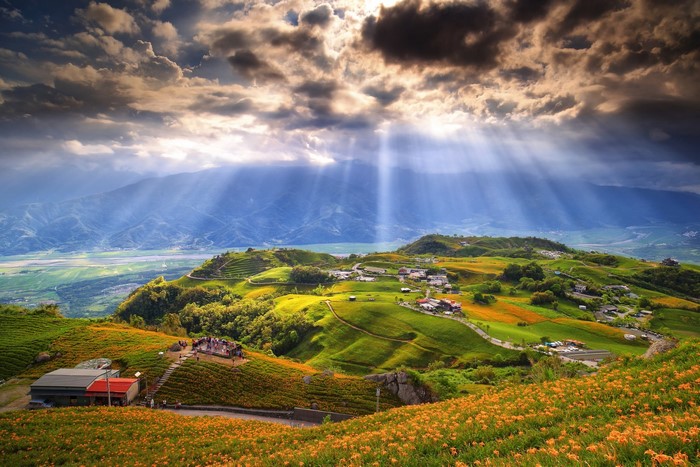 Sunbeams over a Taiwanese flower field landscape