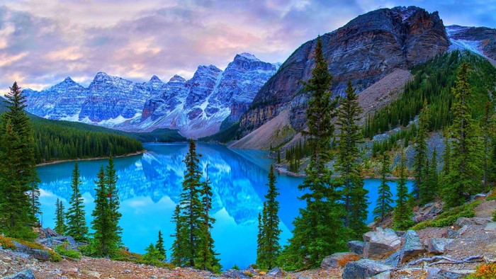 Serene Mountain Lake with Pine Trees