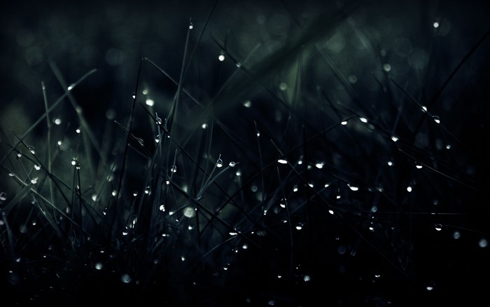 Macro view of grass with water drops
