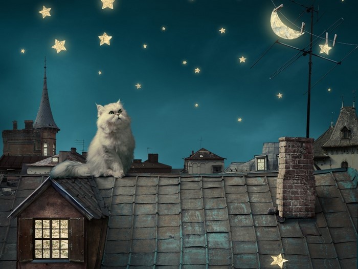 Fantasy night scene with a Persian cat on rooftops under a starry sky