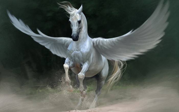 Pegasus artwork with fantasy art horse wings