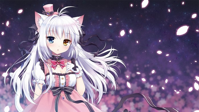 Anime cat girl with heterochromia and pink dress