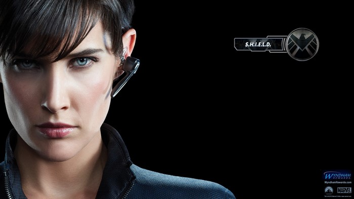Maria Hill from S.H.I.E.L.D.