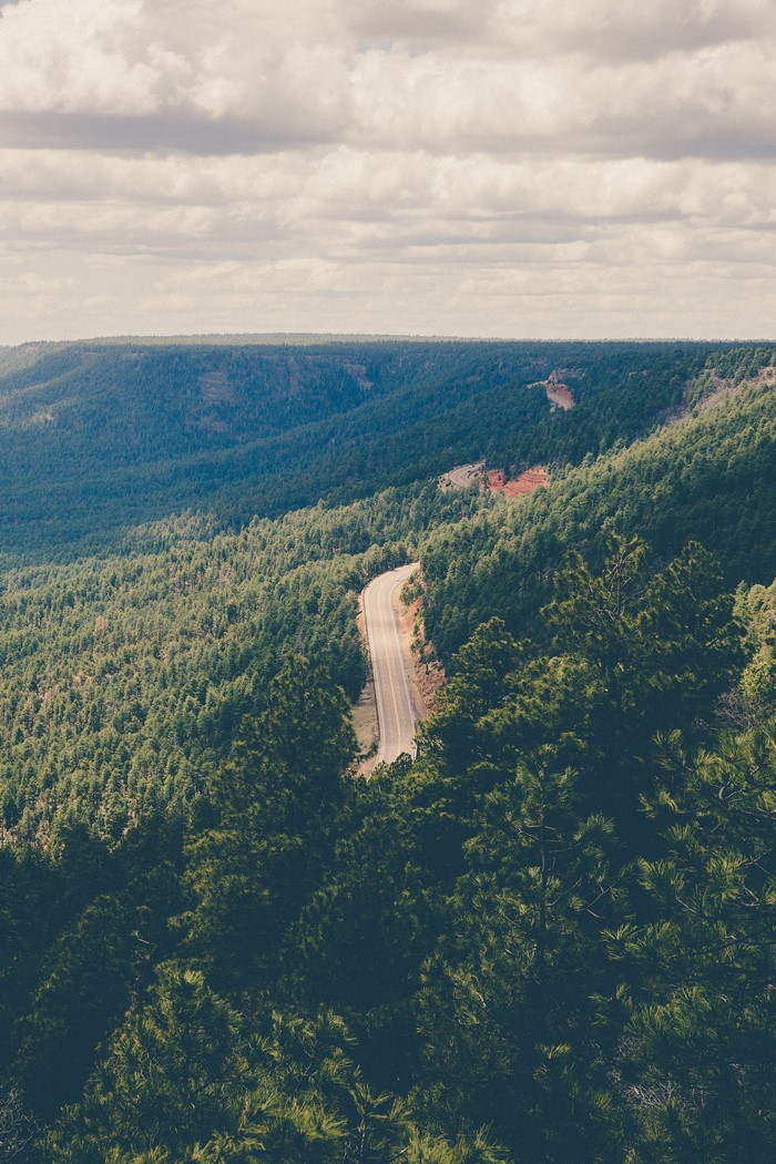 Winding road through a dense forest landscape