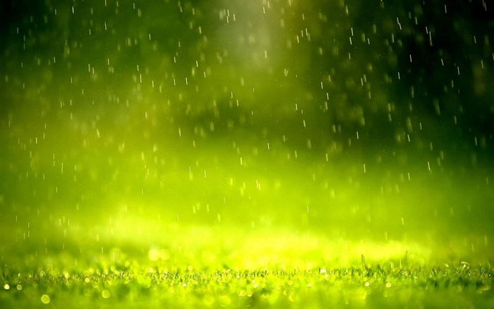Rain falling on green grass