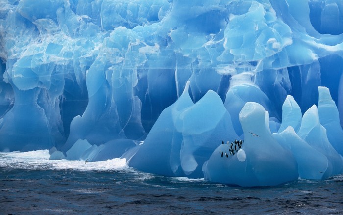 Penguins on a blue iceberg in the sea