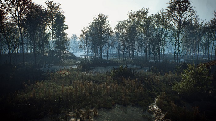 The Witcher 3: Wild Hunt swamp landscape