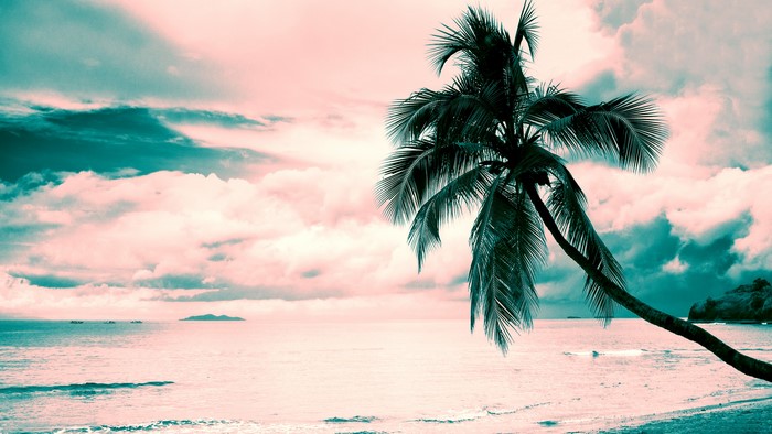 Palm tree on a beach with pink and turquoise clouds