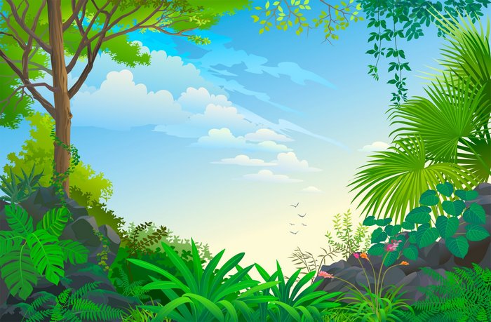 Jungle landscape with trees and sky