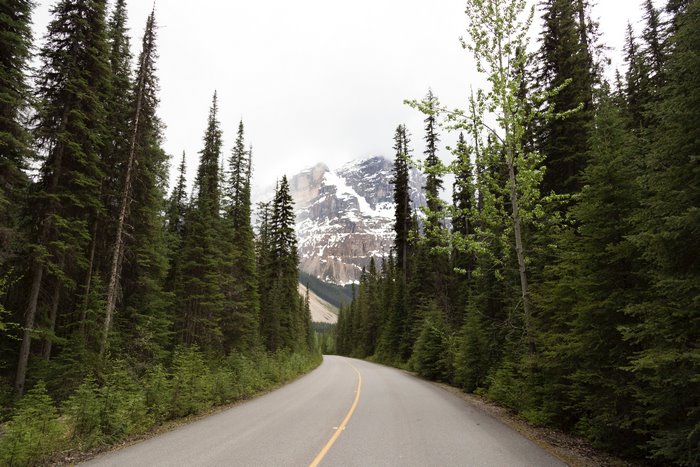 Road through a forest with snow-capped mountains