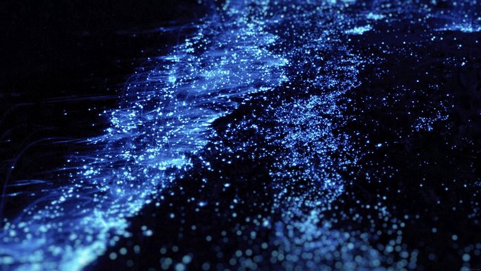 Abstract bioluminescent plankton in dark water