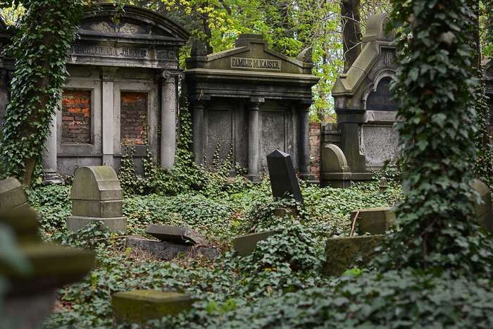 Overgrown cemetery with ancient mausoleums and tombstones