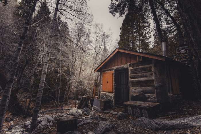 Abandoned wooden cabin in a dark forest