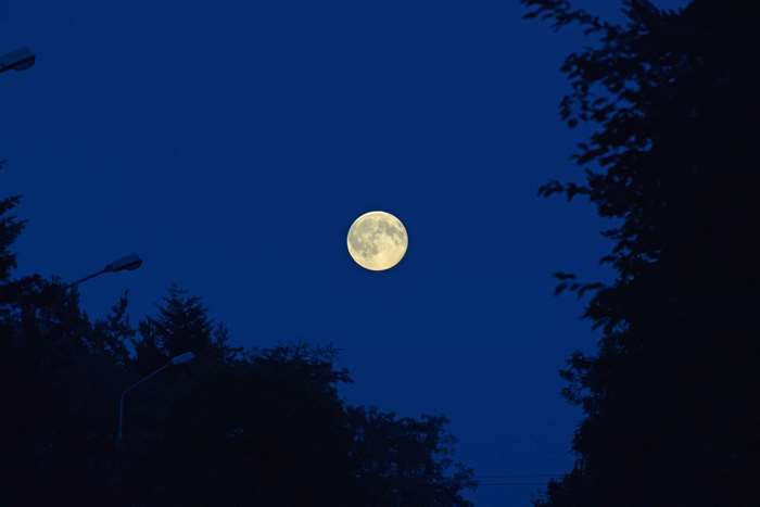 Full moon in a dark blue summer sky with trees and streetlights