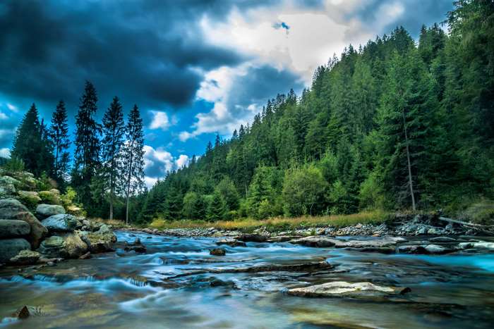 Fast-flowing stream through a pine forest with dark clouds