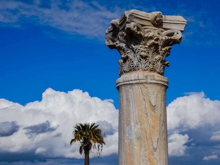 Ancient Corinthian Column and Palm Tree Under Blue Sky