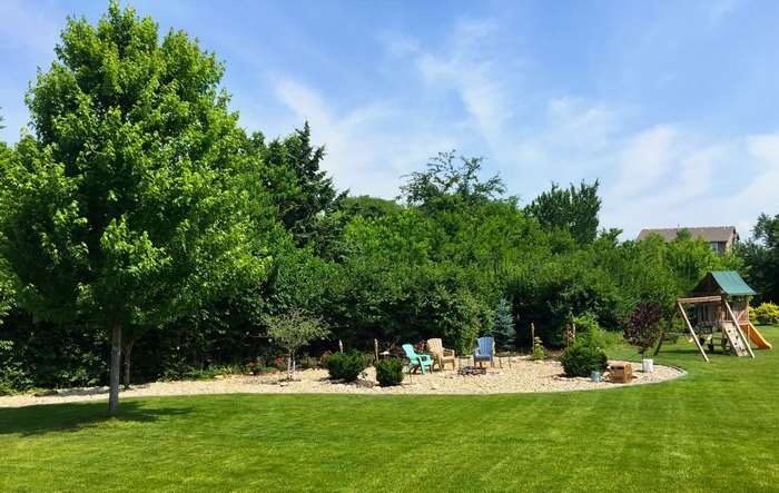 Backyard with landscaping and playground