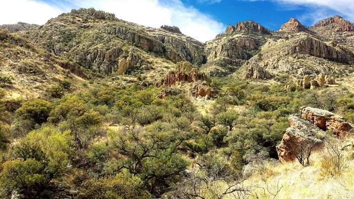 Rocky mountain valley with trees and blue sky