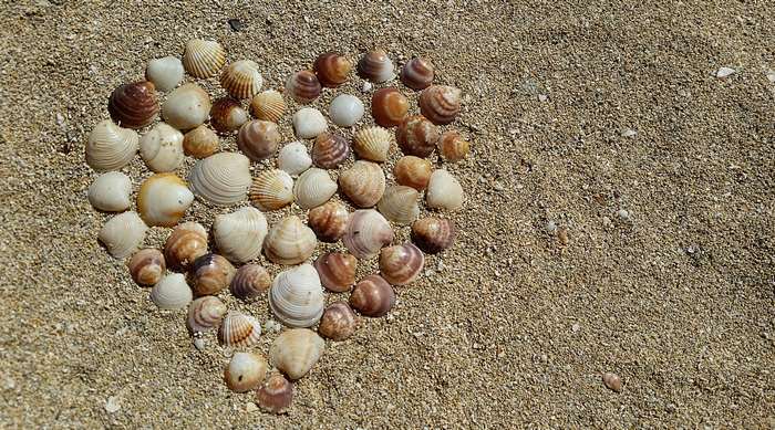 Heart shape made of seashells on sand