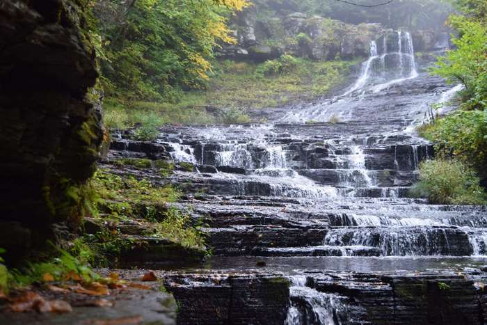 Waterfall in a misty forest landscape