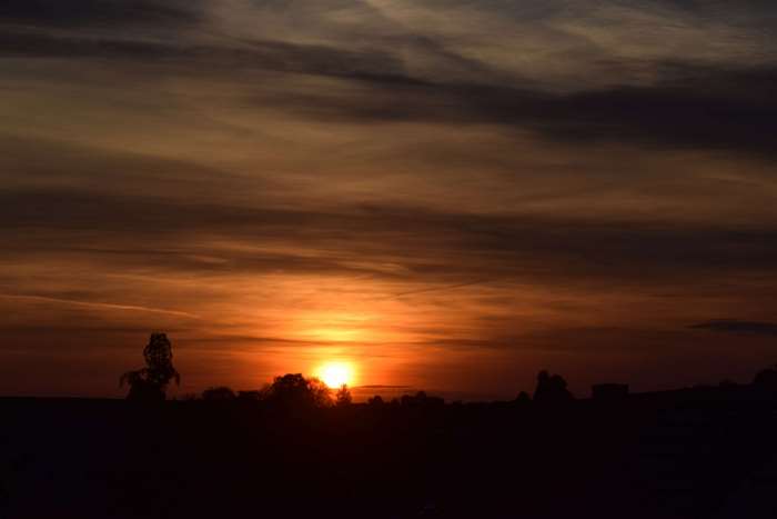 Sunset with silhouetted trees and clouds